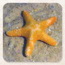 Buscar playa arenosa posavasos Arena