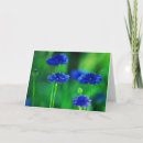Buscar espacio en blanco floral tarjetas Púrpura