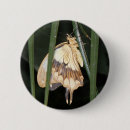 Buscar mariposas y polillas chapas Animales