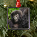 Buscar gorilas adornos Animales