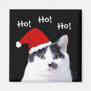 Buscar gato gruñón imanes Gatos