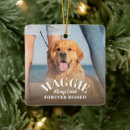 Buscar mascota memoriales adornos Perro