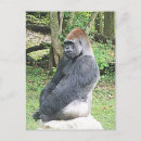 Buscar posa postales General y unisex