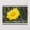 Buscar significado de la flor postales Abeja