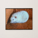 Buscar bola de nieve puzzles Para todos