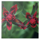 Buscar banff alberta azulejos Canada