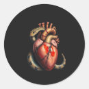 Buscar anatomía del corazón pegatinas Anatómico