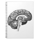 Buscar cerebro libretas Medicina