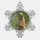 Buscar pelucas adornos Lindo