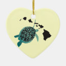 Buscar islas de hawaii adornos Para todos