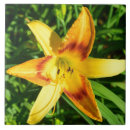 Buscar macro azulejos Jardín