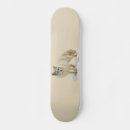 Buscar zorros tablas de skate Naturaleza