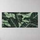 Buscar hoja verde posters Planta