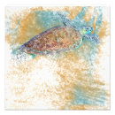 Buscar tortuga de mar posters Casa de playa