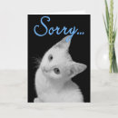 Buscar gato turco tarjetas Gatito