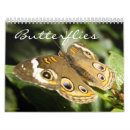 Buscar mariposas calendarios Naturaleza
