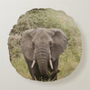 Buscar turismo cojines Elefante