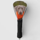 Buscar weimaraner Canino