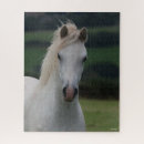 Buscar caballo gris puzzles Raza