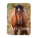 Buscar cabeza de caballo imanes Naturaleza