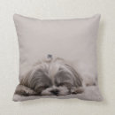 Buscar perros del tzu de shih cojines Shihtzu