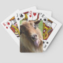 Buscar cara animal barajas de cartas Animales
