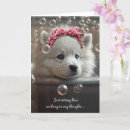Buscar en blanco del perro tarjetas Adorable