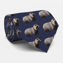 Buscar raccoon corbatas Para él