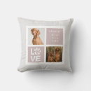 Buscar historia cojines Fotográfica