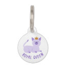 Buscar reino mascotas Gatos
