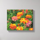 Buscar estampado de flores lienzos Naturaleza