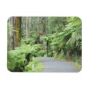 Buscar gamas imanes Día