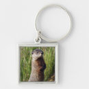 Buscar marmota llaveros Cachorro