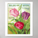 Buscar 1912 Rosas
