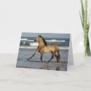 Buscar andaluz tarjetas Playa