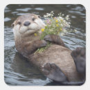 Buscar nutria pegatinas Fauna