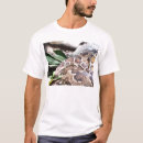 Buscar constrictor Naturaleza
