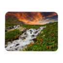 Buscar wildflower imanes Campo