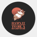 Buscar hamster pegatinas Conejillo