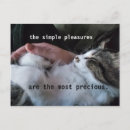 Buscar inspiraciones tarjetas Amigos