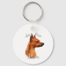Buscar minpin Pinscher miniatura