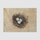 Buscar huevos pascua de papel de seda General y unisex