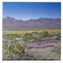 Buscar sand azulejos Desierto