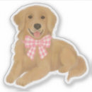 Buscar incondicional postales Cachorro
