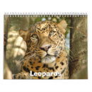 Buscar leopardo calendarios Salvaje