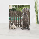 Buscar great dane tarjetas Animal