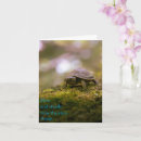 Buscar lentes tarjetas Tortuga