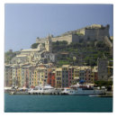 Buscar porta azulejos Histórico