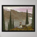 Buscar caribú posters Animales