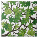 Buscar hojas de arce azulejos Bosque